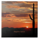 Search for cactus tiles Arizona