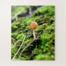 Recherche de minuscule puzzles Champignon
