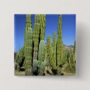 Recherche de cactus saguaro badges Nature