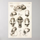 Recherche de babouin art Singes