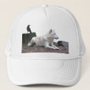 Recherche de loups casquettes Bois