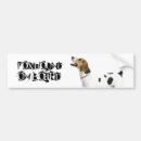 Recherche de fox hound Animaux
