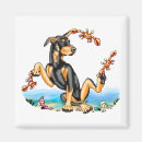 Recherche de pinscher magnets Noir