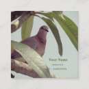 Recherche de pigeons cartes visite Customer