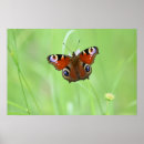 Recherche de grün posters Blume