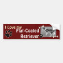 Search for flat coated Pets