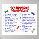 Recherche de schipperke art Mignon