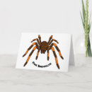 Search for tarantula cards Spider