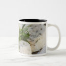 Recherche de fromage tasses Laiterie