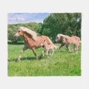 Search for funny photo blankets Cute