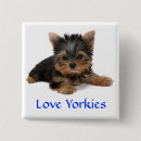 Search for yorkie accessories Puppies
