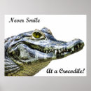 Recherche de alligators posters Amusant
