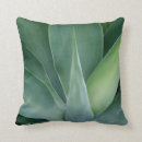 Recherche de arbustes coussins Plantes