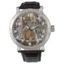 Recherche de fox montres Regarder