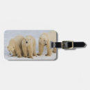 Search for ursus accessories Ice
