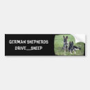 Recherche de berger allemand blanc voiture autocollants Pour tous