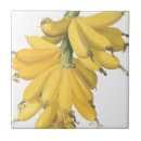 Search for bananas tiles Watercolor