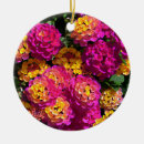 Search for lantana flower postcards Plant