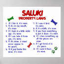 Search for saluki art Cute