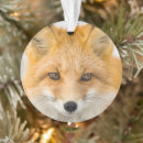 Search for foxes ornaments Animal