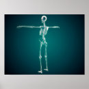 Recherche de cage thoracique posters Médecine