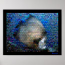 Recherche de mosaïque posters Animaux