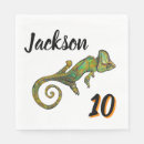 Search for green lizard Fun