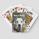 Recherche de dalmate jeux de cartes Chiens