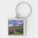 Search for lupine keychains Landscape