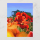 Recherche de coquelicots cartes postales Fleurs rouges
