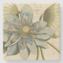 Recherche de lotus dessous de verres Tropical