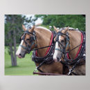 Search for belgian posters Horse