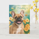 Recherche de fran vœux cartes Bouledogues français