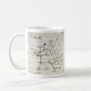 Search for evolutionary tree Darwin