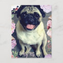 Search for mop postcards Puppy