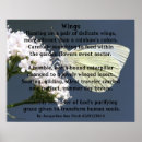 Recherche de ailes papillon posters Pour tous