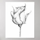 Search for white rose bud posters Flower