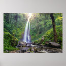 Recherche de forêts tropicales posters Cascades
