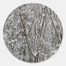 Search for snow storm stickers Photography