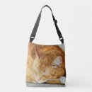 Recherche de chat de gingembre sacs Amoureux de les chats