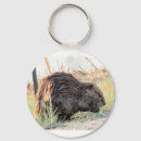 Search for beaver keychains Nature