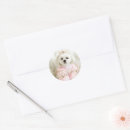 Search for dog photo stickers Birthday