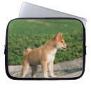 Search for full length cases Vacations
