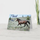 Recherche de mustangs vœux cartes Pour elle