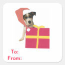 Search for jack russell terrier stickers Dog