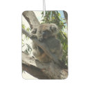 Search for australia car accessories Cute