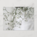 Search for spring birthday postcards Floral