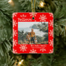 Search for believe ornaments Merry christmas