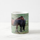 Recherche de anglet tasses Poneys de nouvelles forêts