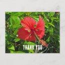 Recherche de fleurs tropicales cartes postales Rose vif